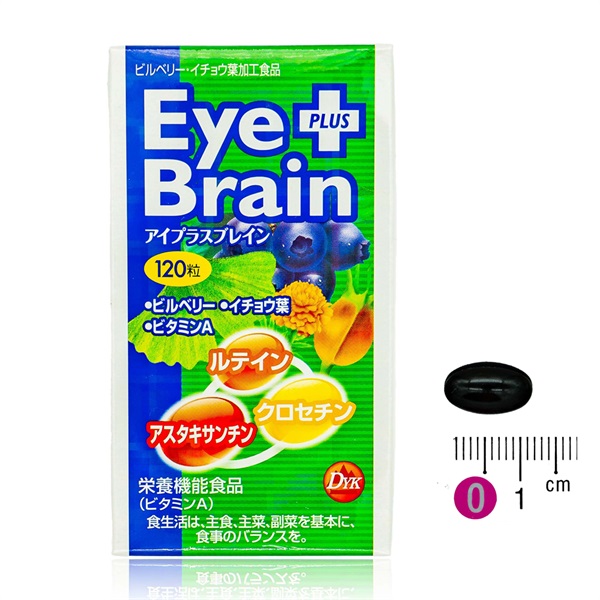 文芸評論書きとどめるでクーポン券差し上げ物CP
