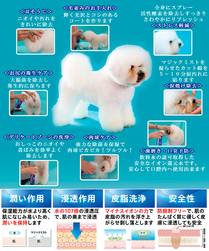 ペット用お手入れ用品 Edog Japan マジックミスト ストレス軽減 0ml 詰め替えパック 1000ml セット ペットグッズ 耳そうじ 耳そうじ 毛並みのお手入れ ストレス軽減 除菌 お尻の衛生ケア 涙焼け除去 肉球ケア 歯磨き 口臭予防 除菌 消臭 ペットスタジオ無添加 無