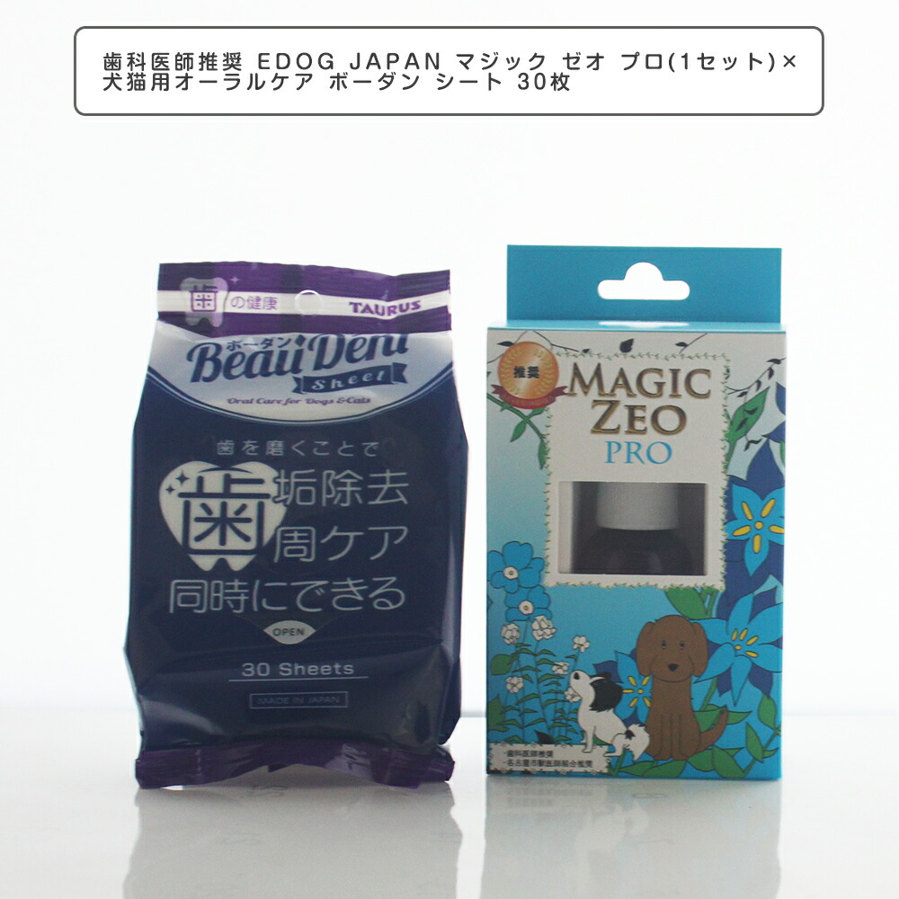 (マッコウ歯より希少)セイウチ牙　約1,100g (日本国内のみ売買可能) マッコウ歯より希少)セイウチ牙 約1,100g (日本国内のみ売買可能)