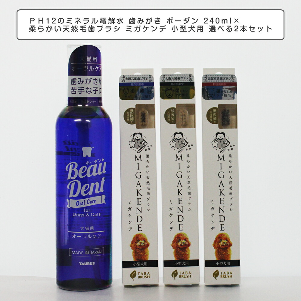 お中元 送料無料 2本セット トーラス ボーダン240ml 犬猫用歯磨きウォーター discoversvg.com