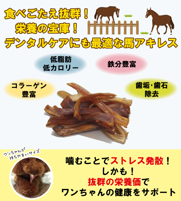 オープニング 犬 おやつ 無添加 馬アキレス 1kg ブリーダーパック ペット しつけ 無着色 低脂肪 低アレルギー安心 適度の噛み応え Fucoa Cl