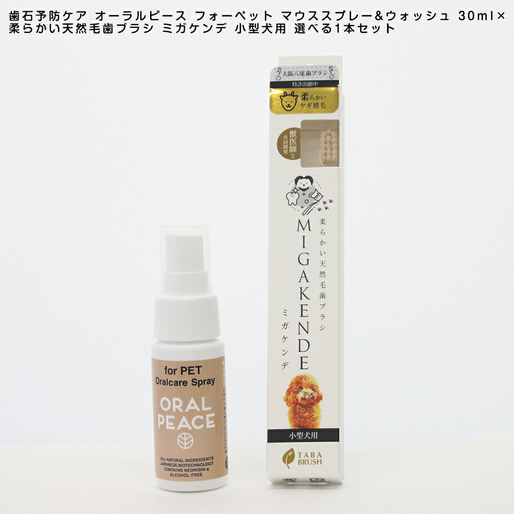 PLUEST オーラルケア 01 04 4本セット PLUEST（プルエスト）公式ブランドサイト