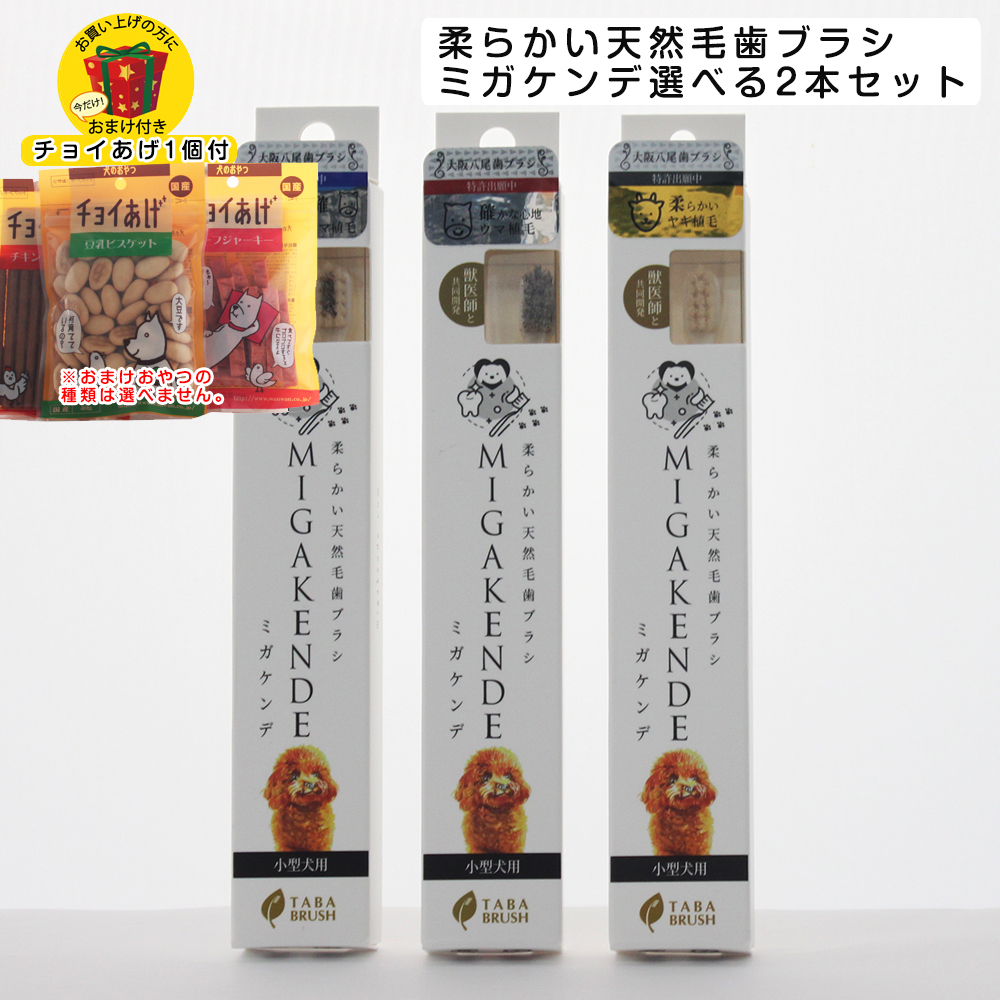 楽天市場】【送料無料】柔らかい天然毛歯ブラシ MIGAKENDE ミガケンデ 確かな心地ウマ植毛 1本 小型犬 犬用歯ブラシ ペット用歯ブラシ  オーラルケア 歯みがき 歯磨き 歯周病 : ペットスタジオ