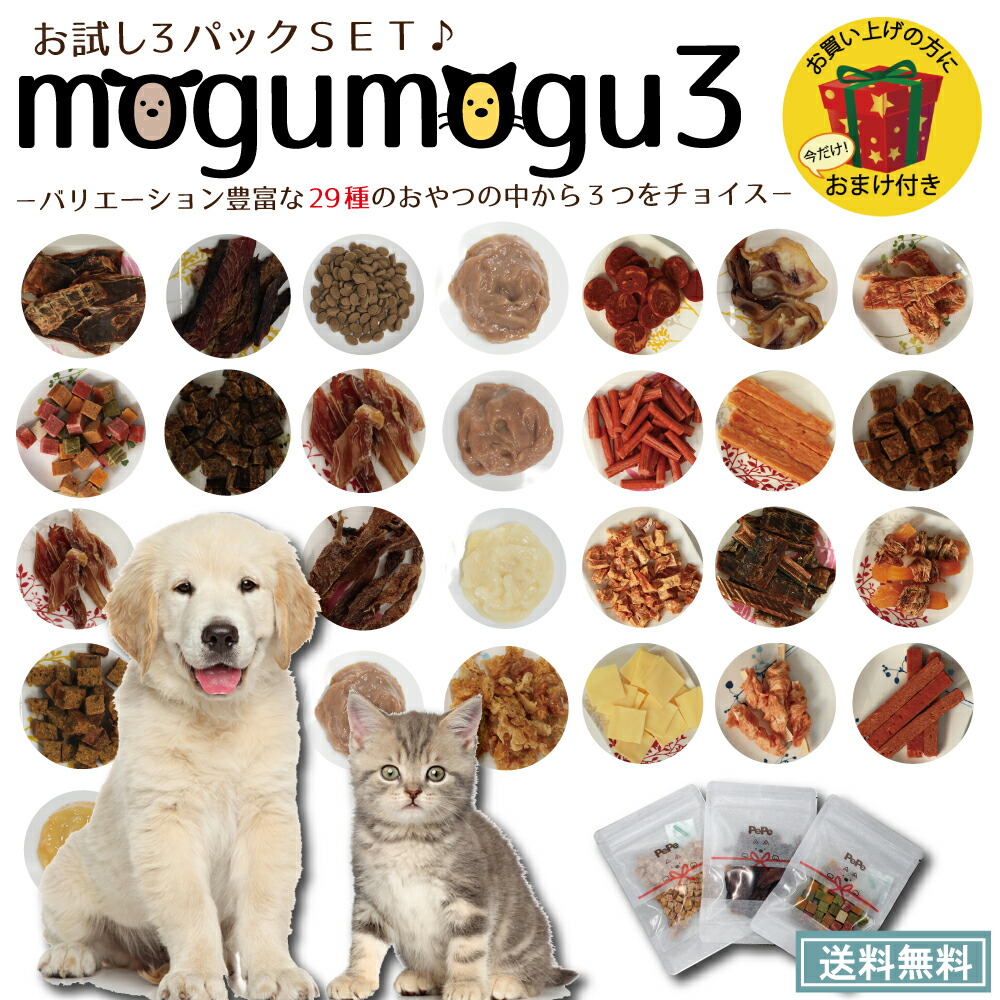 楽天市場】【送料無料】画期的な抜け毛取り グローブ 掃除 ペット ブラシ ピロコーム (Philocomb) E1 (やわらかめ) 【短毛種・小型犬・猫・小動物(うさぎなど)】抜け毛除去用ブラシ ディアトリベー : ペットスタジオ 楽天市場】【送料無料】画期的な抜け毛取り グローブ 掃除 ペット ブラシ ピロコーム (Philocomb) E1 (やわらかめ) 【短毛種・小型犬・猫・小動物(うさぎなど)】抜け毛除去用ブラシ ディアトリベー : ペットスタジオ