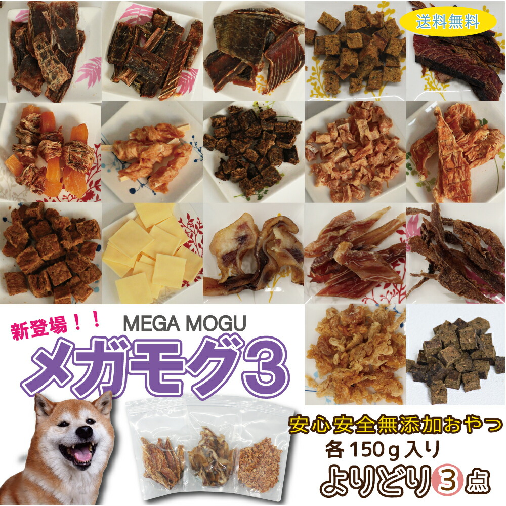 楽天市場】【送料無料】プロデン デンタルバイツ 犬用(60g)×6個セット 天然の海藻を原料とする安全な犬猫用のデンタルおやつ : ペットスタジオ