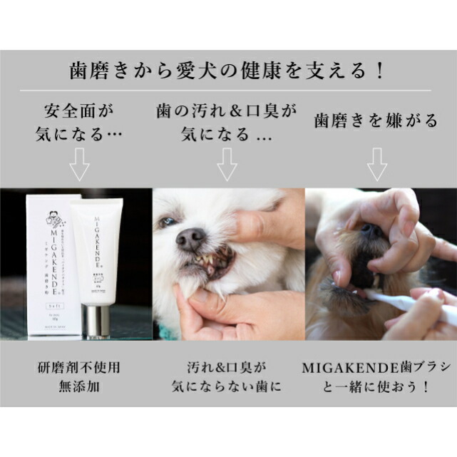 市場 獣医師監修 バイオアパタイト配合 forDOG デンタルケア 歯磨き 40ｇ×3個 MIGAKENDE オーラルケア 歯磨き粉 ミガケンデ