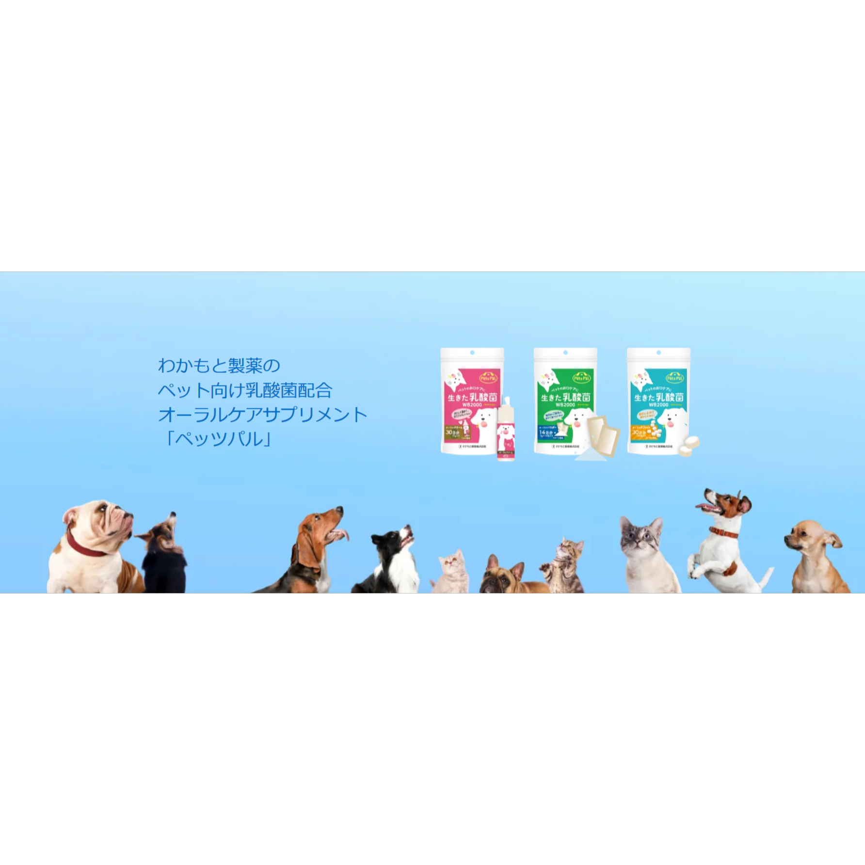 ペッツパル オーラルパウダー 1袋 1包2g 14包 28g 14日分 犬猫用 フルーツ風味 わかもと製薬