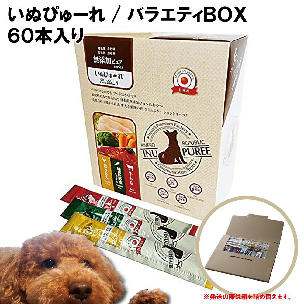 最大87%OFFクーポン NEW純白ペットケース ひまわり特小 赤