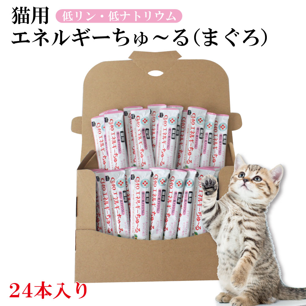 楽天市場】動物病院専用 CIAO 猫用 投薬用ちゅ〜る まぐろ 12g×24本入（約6日分） ちゅ〜る : ペットスタジオ