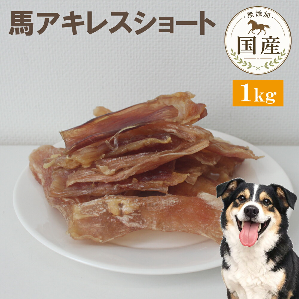 犬 お兄ちゃん 無加えること 熊本産 馬アキレス遊撃手 1キログラム 大静電容量 ブリーダーパック 低あぶら身