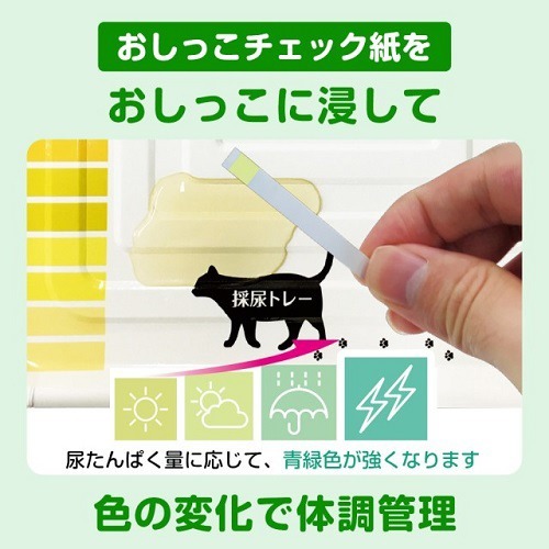 デオトイレ 猫用 おうちでおしっこチェックキット(1セット)【デオトイレ】｜ペットスタジオ