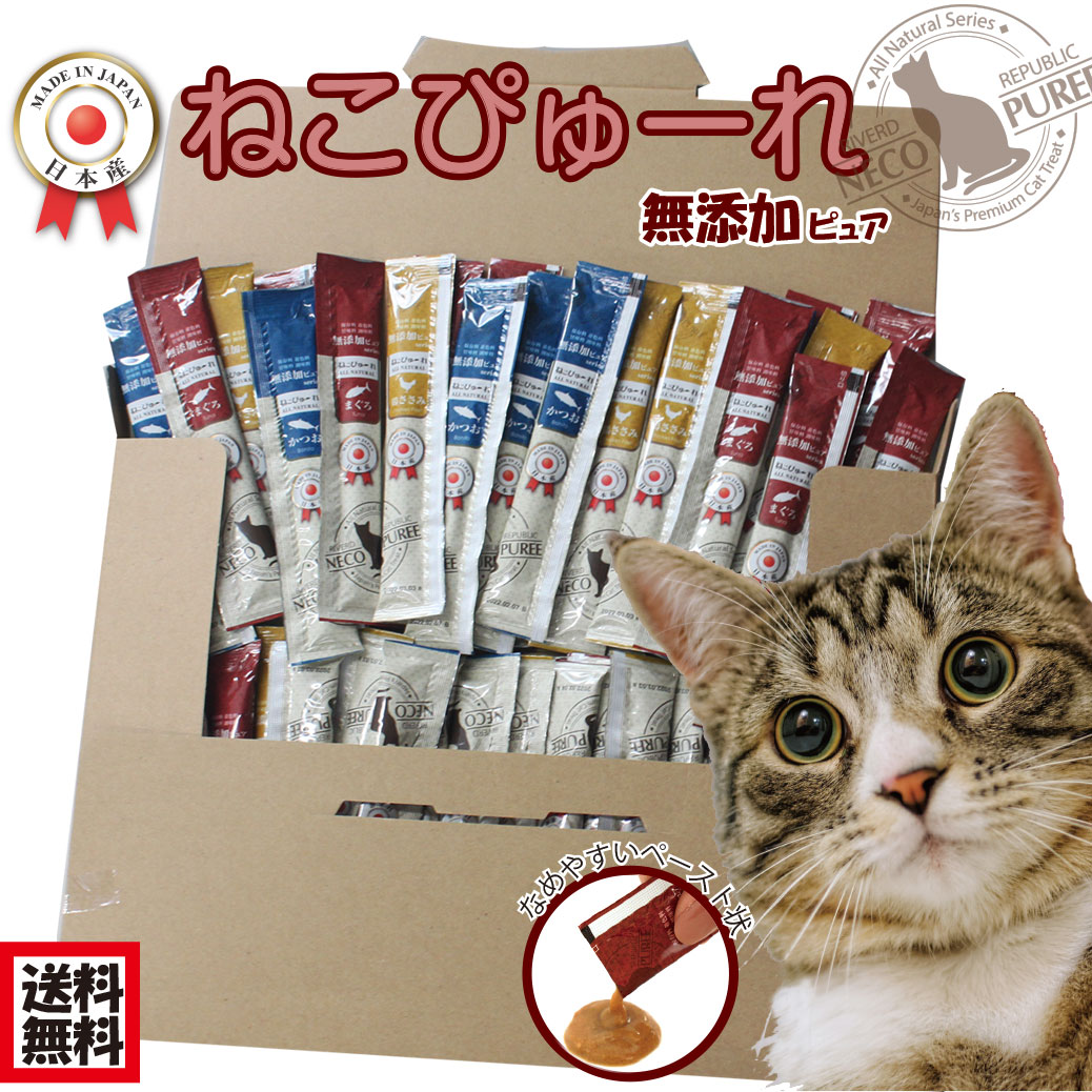 楽天市場】【送料無料】猫 おやつ 無添加 国産 ねこぴゅーれ 無添加