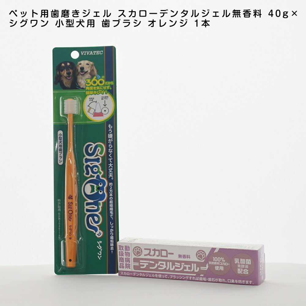 楽天市場 送料無料 ペット用歯磨きジェル スカローデンタルジェル無香料 40g シグワン 小型犬用 歯ブラシ オレンジ 1本 歯垢 歯石除去 口臭予防 歯周病の予防 ペットスタジオ