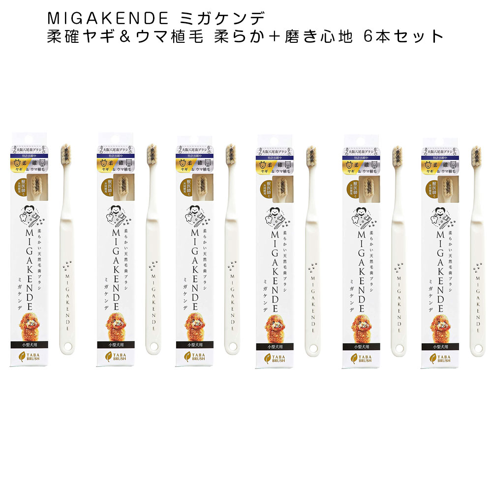 最大62%OFFクーポン 柔らかい天然毛歯ブラシ ミガケンデ 小型犬用 柔確 ヤギ ウマ植毛 12本 ギフトセット 犬用 ネコ用 トイレ用品 お散歩  ケージ おもちゃ ウェア 寝具 fucoa.cl