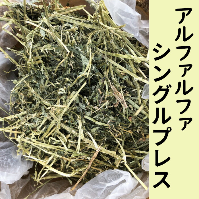 牧草 アルファルファ シングルプレス 約4kg 5個 約kg アメリカ産 小動物 エサ 高たんぱく 送料無料 Htf アルファルファ うさぎ ハムスター チンチラ デグー 開封後は湿気の少ない風通しのよい場所に保 Hitsk9 Net