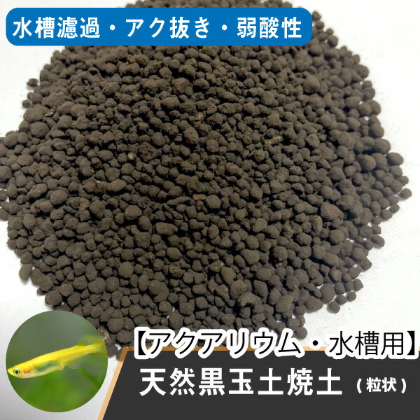 メダカの天然黒玉土焼土 10kg 粒状 宮崎県産 めだか 黒玉土 金魚 熱帯魚 淡水魚 あくありうむ 観賞魚 送料無料 Dbp Lindnercapital Com