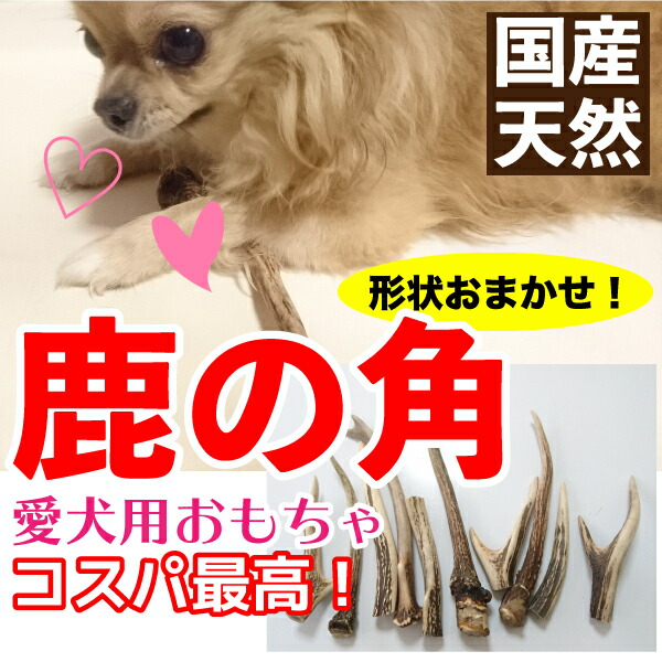 【形状おまかせ】国産 天然 鹿の角 犬(丹波鹿) 1本 サイズ:S (約10cm~15cm) 鹿のつの 犬 鹿角 シカ つの おもちゃ おやつ デンタルケア【DBP】 【形状おまかせ】国産 天然 鹿の角 犬(丹波鹿) 1本 サイズ:S (約10cm~15cm) 鹿のつの 犬 鹿角 シカ つの おもちゃ おやつ デンタルケア【DBP】