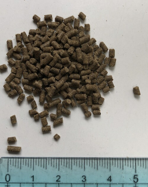 小分け 昆虫用飼料 I(昆虫飼育用)昆虫 エサ 餌 固形飼料 送料無料