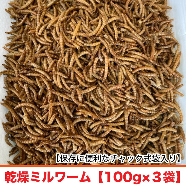高タンパク 高栄養 ドライミルワーム 乾燥ミルワーム 500ｇ×4 小動物 Amazon | 高タンパク 高栄養 ドライミルワーム 70g×3袋 乾燥