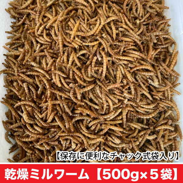 かわき切るミルワーム 【500g×5袋】 ミルワーム 好きこのみ性の止ん事無い高たんぱくボンネット ハムスター フクロモモンガ ハリネズミ  栗鼠 ハ虫類 アロワナ等 野鳥 貨物輸送無料【DBP】