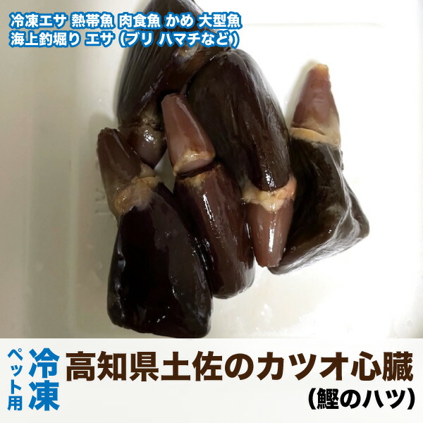 冷凍 高知県土佐のカツオの心臓 かめ 熱帯魚 100g かつお ハツ 天然 肉食 50g 2袋