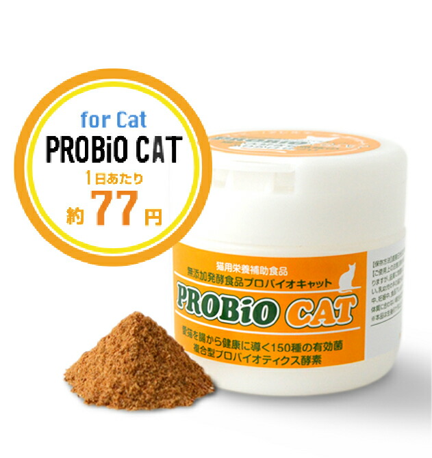 楽天市場 プロバイオ Cat 45g 粉末 顆粒 約45日分 キャット 猫 サプリメント 腎臓 肝臓の働きをサポート アトピー性皮膚炎 アレルギー 脱毛等の症状に Ag Petshopスイート