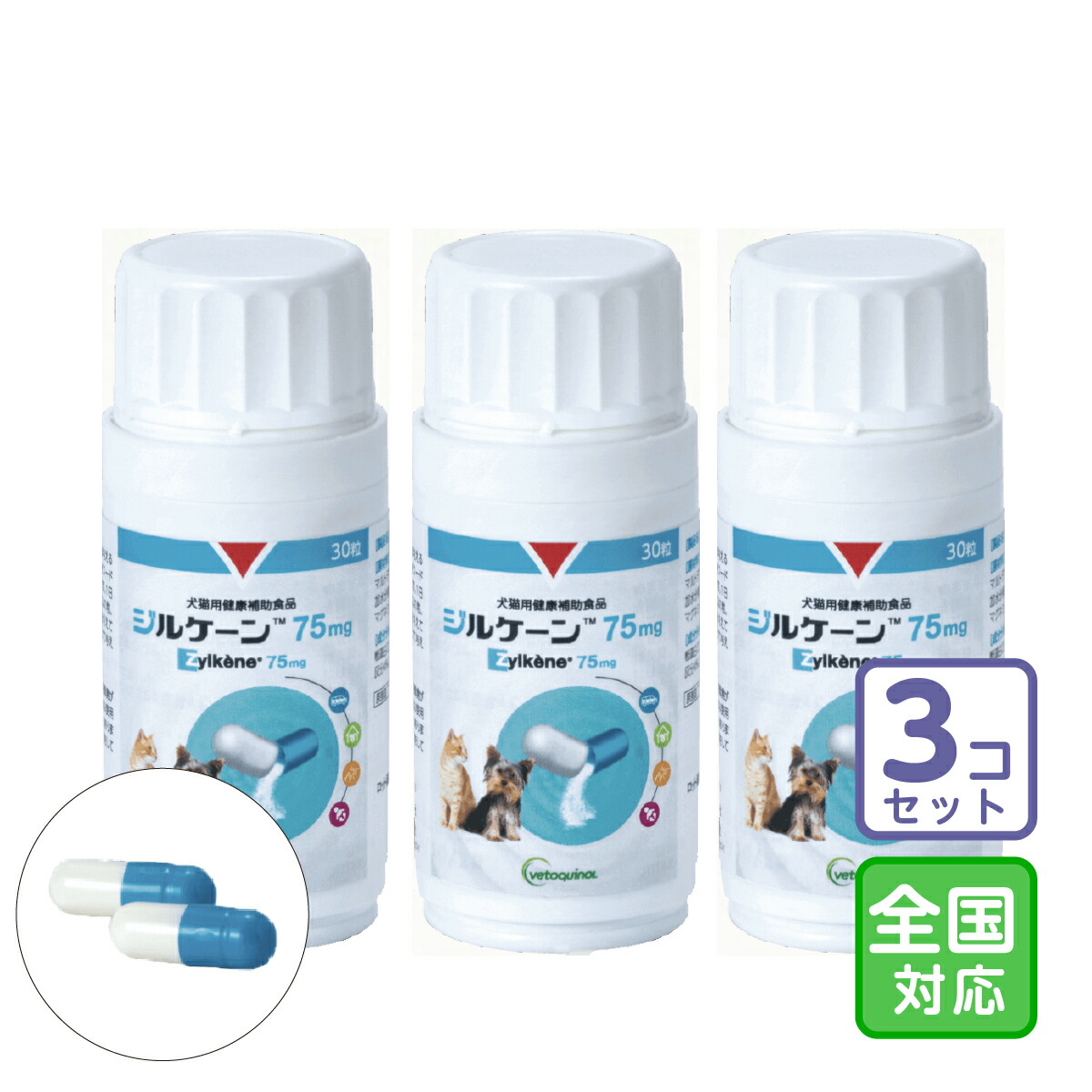 楽天市場】シイタゲン-α (アルファ) 粒【小林製薬の通信販売