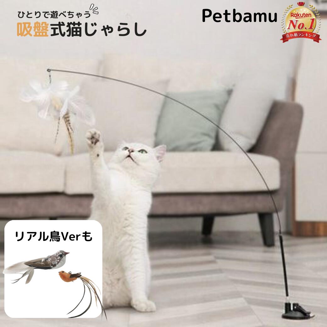楽天市場】猫首輪 猫 首輪 シュシュ【全品2個以上100円オフ】 猫