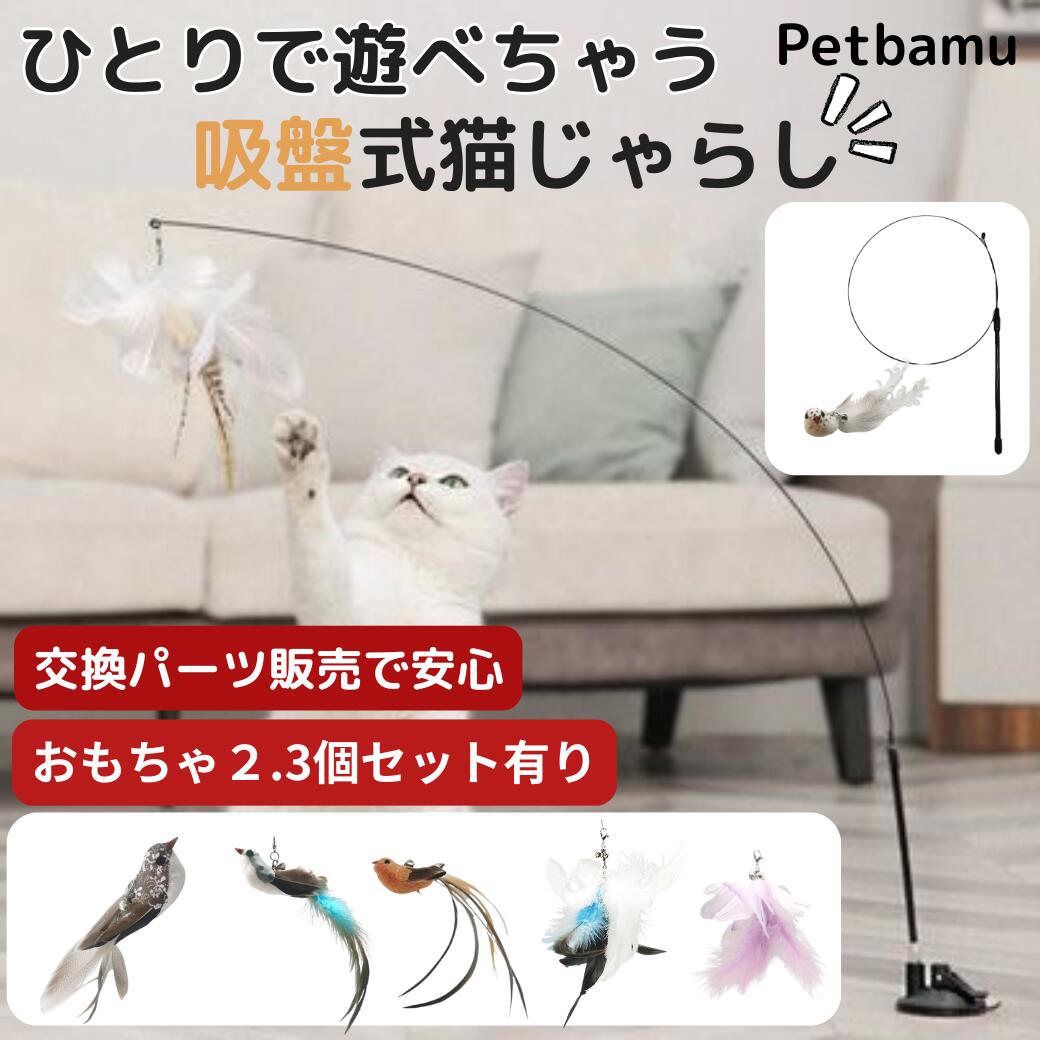 楽天市場】【P2倍】 猫じゃらし 吸盤 釣り竿 18点セット 固定 猫