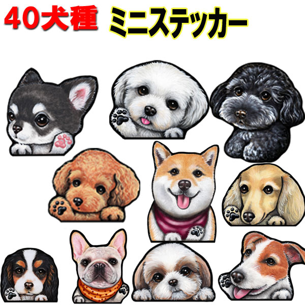 楽天市場】1000円ポッキリ 犬 ステッカー トイプードル グッズ 雑貨