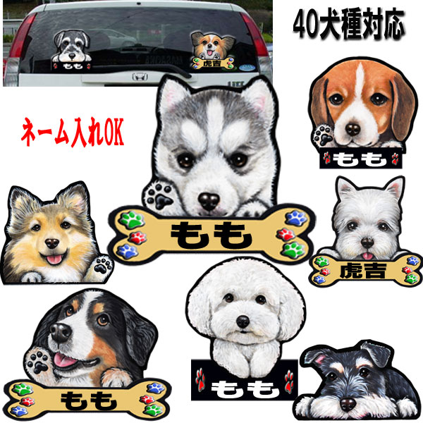 父の日 プレゼント 名入れ 犬 ステッカー ゴールデンレトリバー グッズ 大幅にプライスダウン シェルティ 雑貨 シール バーニーズマウンテンドッグ ビーグル 車ステッカー 車 かわいい ウェスティ 犬ステッカー 車に貼る 母の日 犬のステッカー ビションフリーゼ オーダーメイド 大特価!! 犬柄