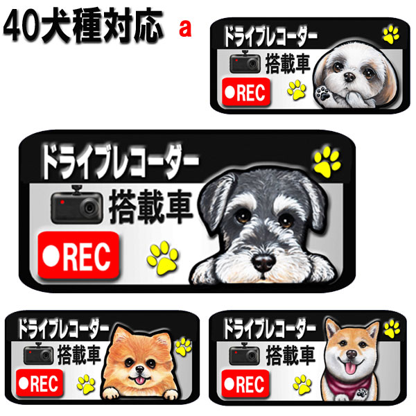 楽天市場】1000円ポッキリ 犬 ステッカー トイプードル グッズ 雑貨