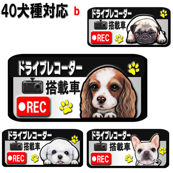 楽天市場】1000円ポッキリ 犬 ステッカー トイプードル グッズ 雑貨