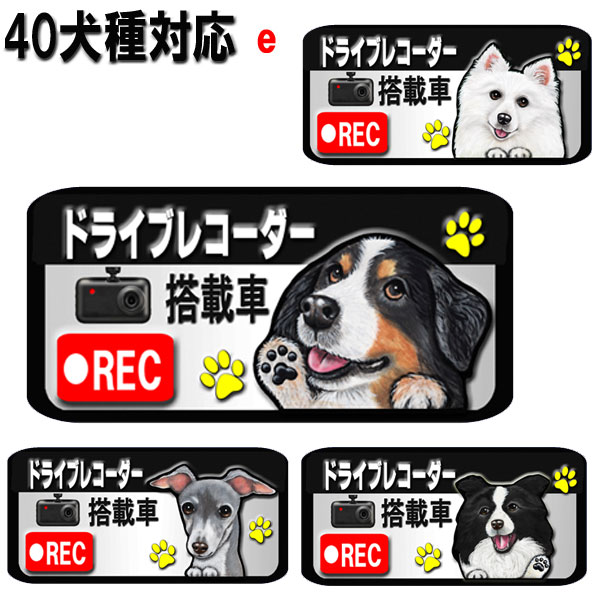 1000円ポッキリ ドライブレコーダー ステッカー 録画中 犬 シール グッズ 雑貨 シェパード スピッツ バーニーズマウンテンドッグ ボーダーコリー ミニピン ホワイトテリア フォックステリア イタグレ イタリアングレーハウンド 車 オーナーグッズ バレンタイン
