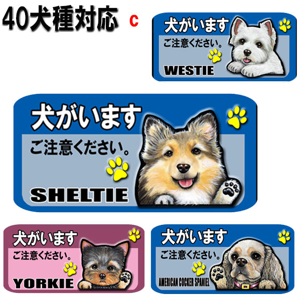 楽天市場】犬がいます シュナウザー 正方形 ヘアライン メタル