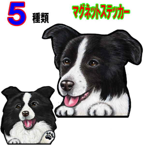 楽天市場 ボーダーコリー 立ち耳 ショードッグタイプ 犬 ステッカー 車 犬種別 ドッグステッカー グッズ カーステッカー アルジャン楽天市場店