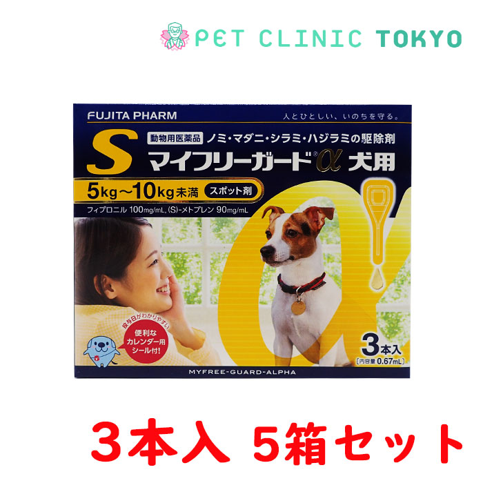 ペットゴー 店犬用フロントラインプラスドッグXS 5kg未満 6本 動物用医薬品 6ピペット