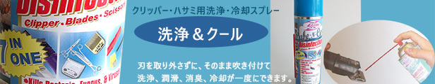 楽天市場】スピーディク 純正替刃 ２ｍｍ 【ネコポス便対応】 : PETECH楽天市場店