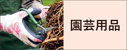 PECO POCOソテツディオーン　10号特大苗木最高等級極上品‼️　希少 国内正規販売店】Patagonia(パタゴニア)M's Midweight '95 Oval Logo