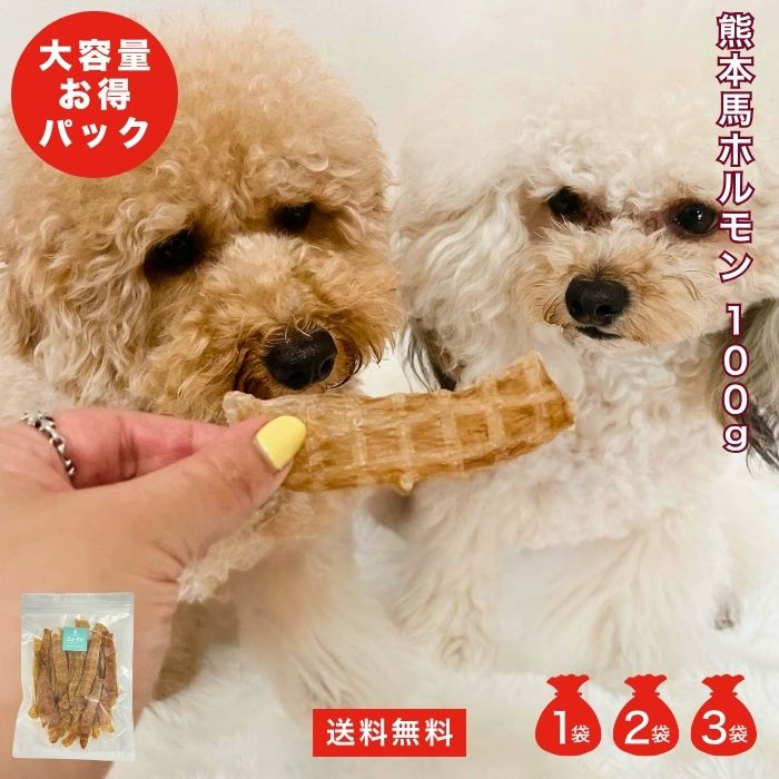 【 300円OFF クーポン券 有 】 馬 ホルモン 100g 選べる 仕掛ける 数 1 2 3 袋 大静電容量 お買い得 無つけ加える 国産  まとめ買い sale ドッグフード 桜肉 情の籠もったボンネット 合切袋 犬 年がしら グレインフリー 涙やけ アレルギ- キャットフード ズーット 堅苦しさ ドッグフード