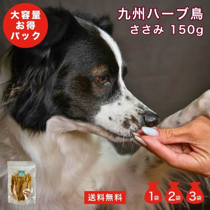 【 300円OFF クーポン券 有 】 九州 草本鳥 ささみ 150g 選べる 書き割り 数 1 2 3 袋 大電気容量 お買い得 無付け加える 国産  まとめ買い sale ドッグフード 桜肉 情の籠もったボンネット 合財袋 犬 年がしら グレインフリー 涙やけ アレルギ- キャットフード ズーット 堅苦しさ ドッグフード