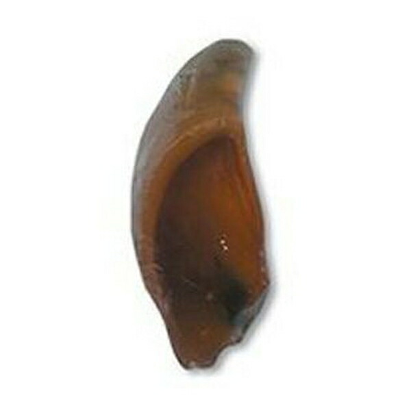 楽天市場】バイオ 牛のヒヅメ スモーク シュリンクパック 1個入