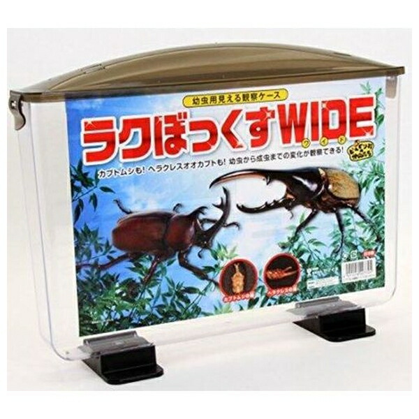 ラクぼっくすWIDE 幼虫用観察ケース pf-4511516007705.jpg