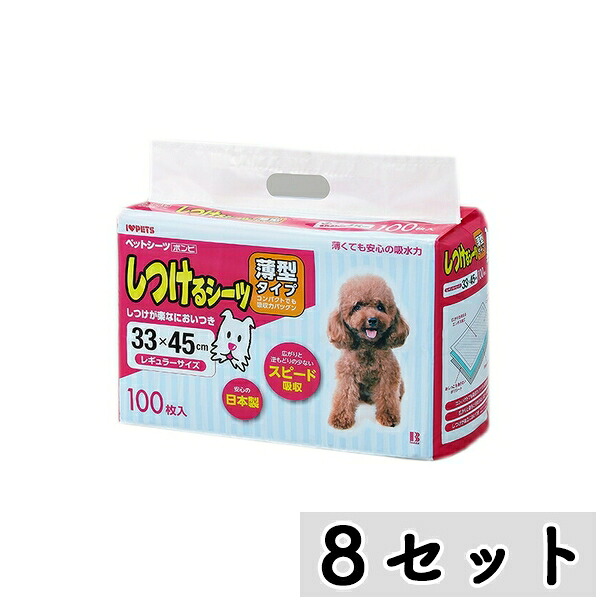 【まとめ買い】◇ボンビアルコン しつけるシーツ薄型レギュラーサイズ 100枚入×8セット | しつけシーツ ボンビアルコン 薄型シーツ しつけシート 吸水シーツ 犬シーツ ペットシーツ しつけ用品 ボンビアルコンシーツ しつけトレーニング トイレシーツ