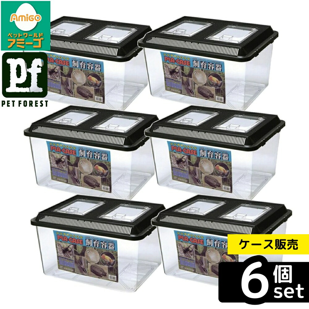 【箱売り 6個仕掛ける】◇ミタニ プラケースLL 細長い切口フタ | プラケース 繁殖入れもの 特大 虫けら ザリガニ メダカ 繁殖備品 小毛の荒物 黒いこと 可塑性物質入れもの 虫かご 両棲類 海洋博物館 たわい無い 繁殖仕掛ける フタ付き添い人 エサやり 助けになる 入れもの 愛玩動物備品 フェネットボール備品 澄み切った入れもの