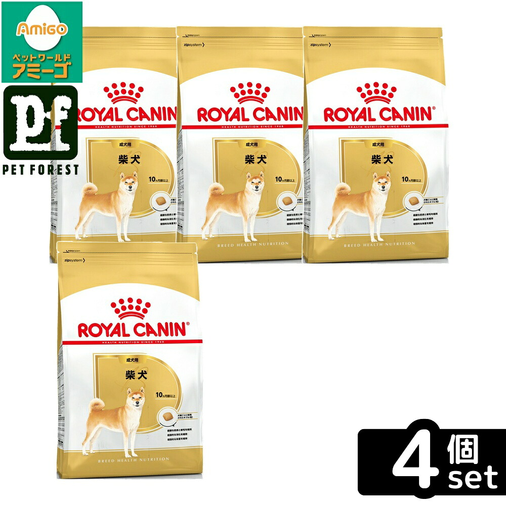 【4個セット】ロイヤルカナン 柴犬 専用フード 成犬用 8kg 犬用 ドライフード【在庫有り】お一人様5点まで|ペットフォレスト 店