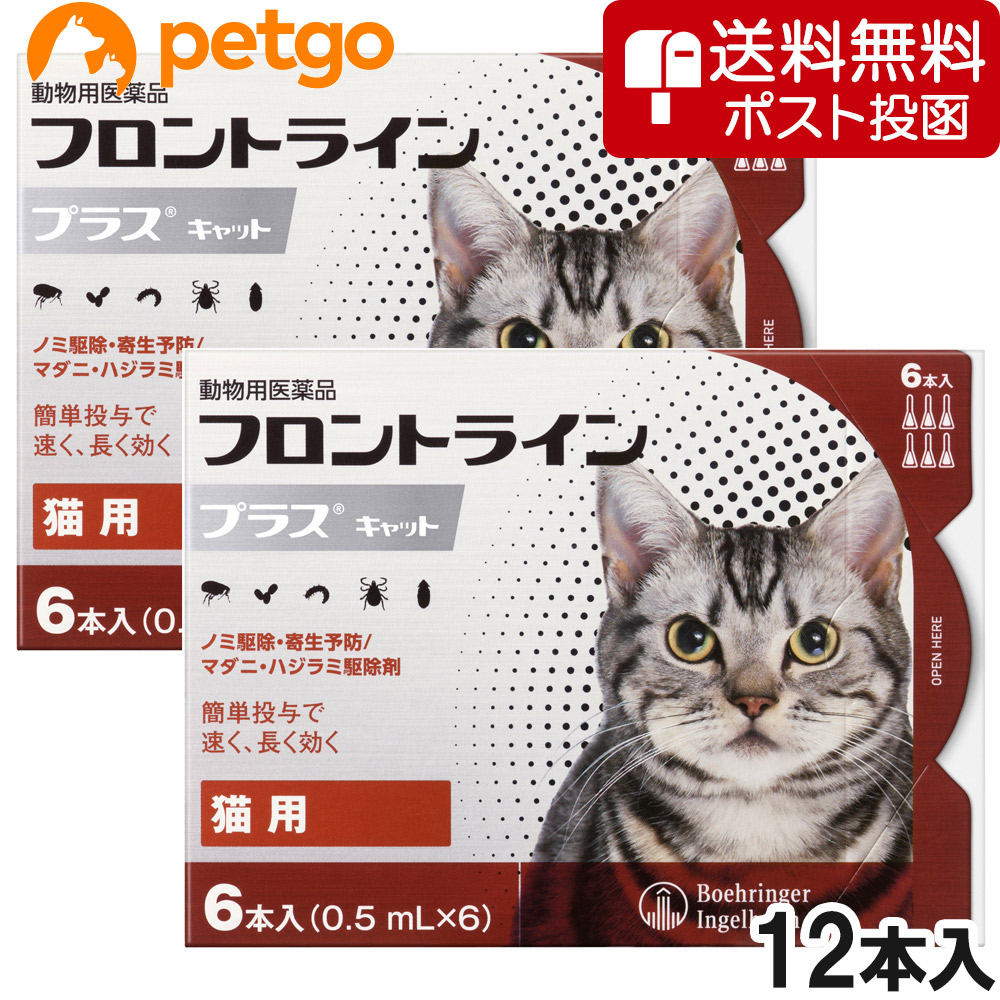 【ネコポス(同梱不可)】【2箱書き割り】猫用フロントラインプラスキャット 6本（6ピペット）（毛の荒物用飲み薬）