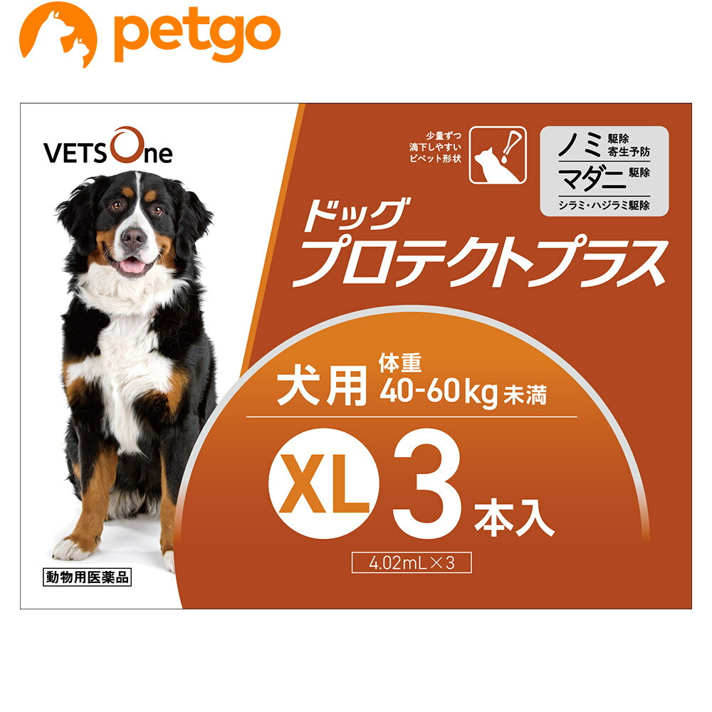 市場 5%OFFクーポン 犬用 ドッグプロテクトプラス ベッツワン XL