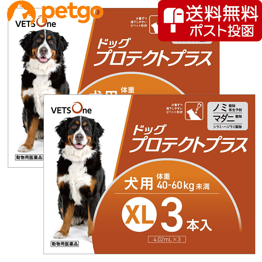 【ネコポス(同梱不可)】【2箱セット】ベッツワン ドッグプロテクトプラス 犬用 XL 40kg～60kg未満3本(動物用医薬品)