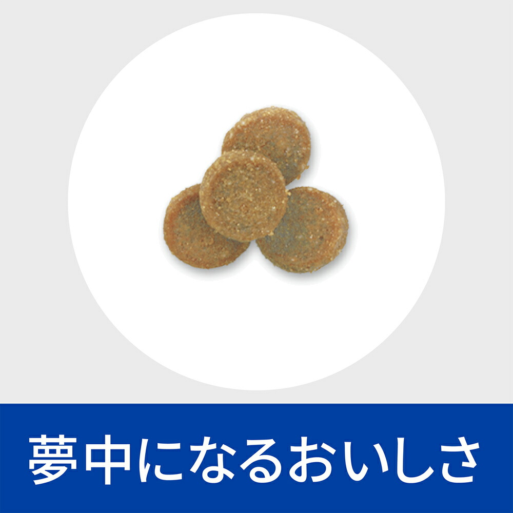 豪華な ヒルズ 猫用 Z D 食物アレルギーケア ドライ 2kg 6袋 Mediquickfl Com